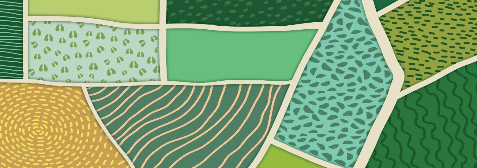 Ilustración de parcelas agrícolas con tramas y colores de la identidad
