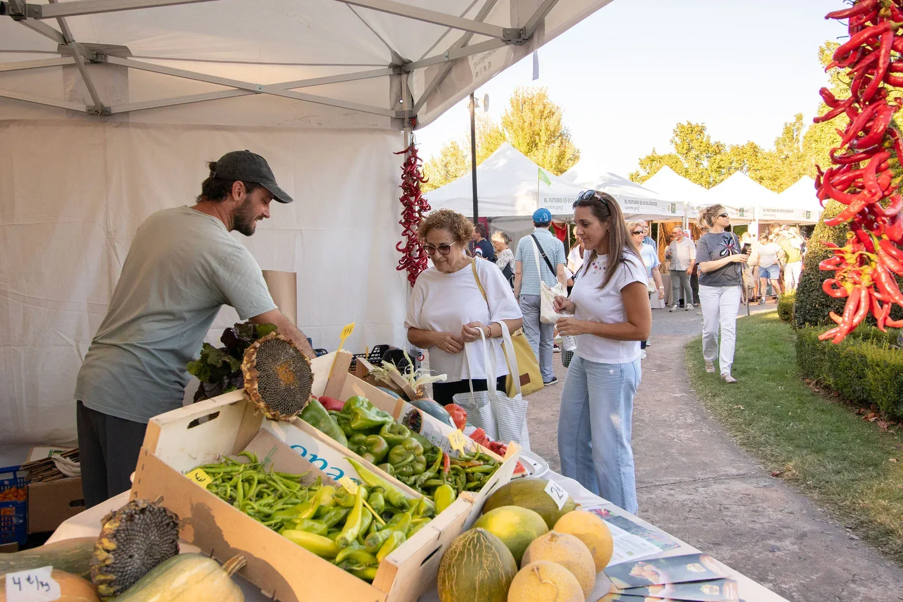 Productos ecológicos y puestos de venta directa de la feria