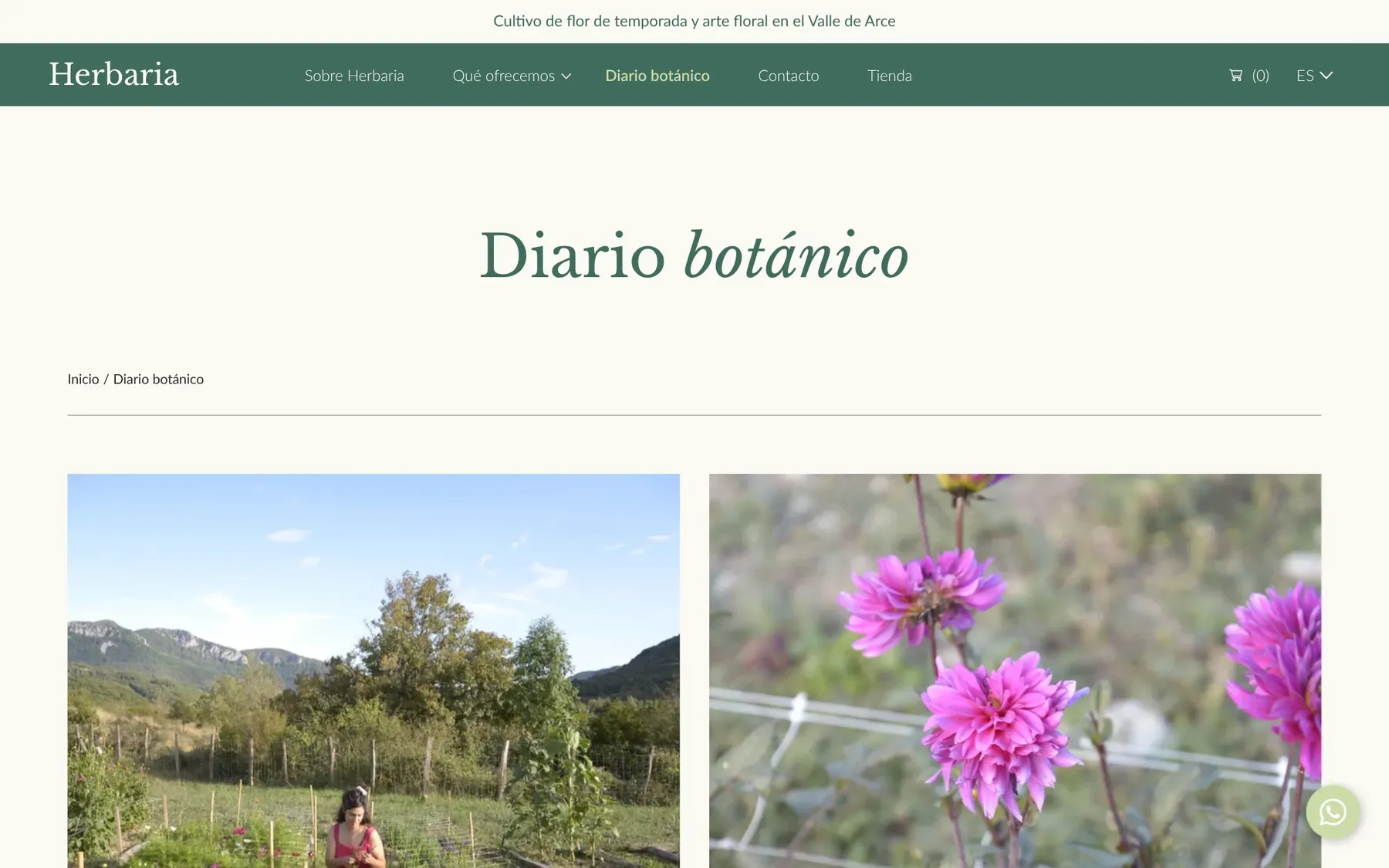 Diario botánico de Herbaria