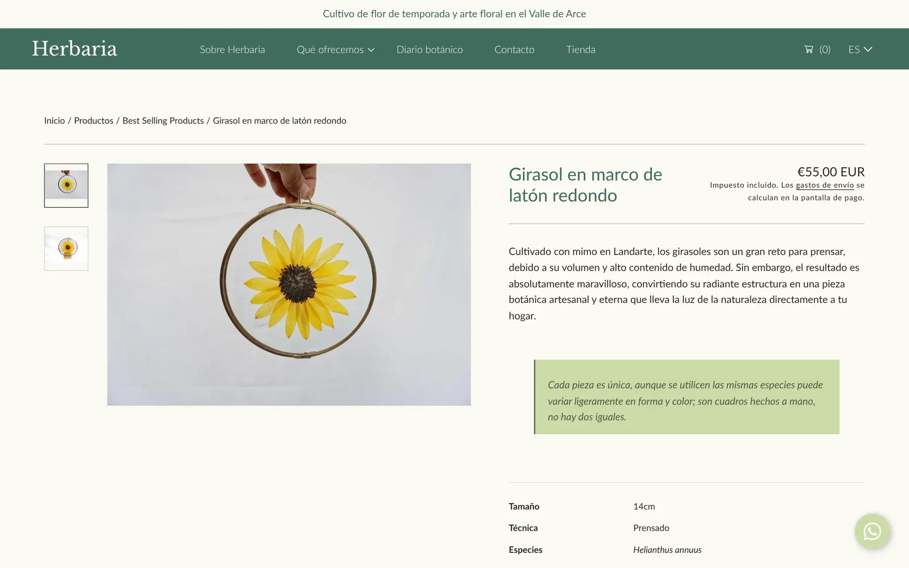 Ficha de producto: girasol en marco de latón redondo