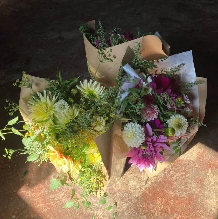 Ramo de flores de temporada de Herbaria